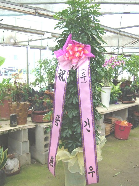 (��)�ǿ쿡�� �ֹ��Ͻ�ȫ�����