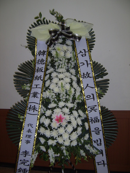 �Ѵ������ֹ�ȭȯ(�����Ƿᏸ)
