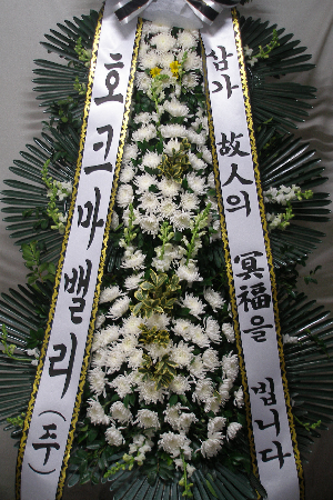 ȣũ���븮����ȭȯ
